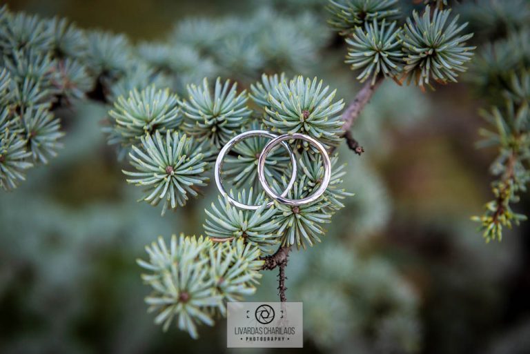 Wedding photography Thessaloniki Botanical Garden